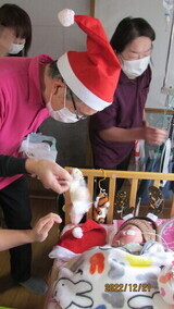 IMG_2543_コピー_コピー