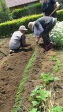 IMG_1731_コピー_コピー