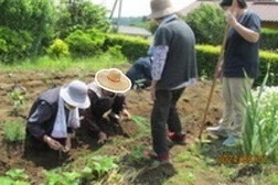 IMG_5616_コピー_コピー