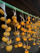 IMG_1134 (1)_コピー