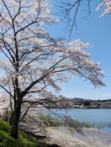 IMG_3738_コピー