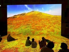 IMG_4314 (1)_コピー